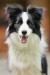 533x800_551A0785 (1)